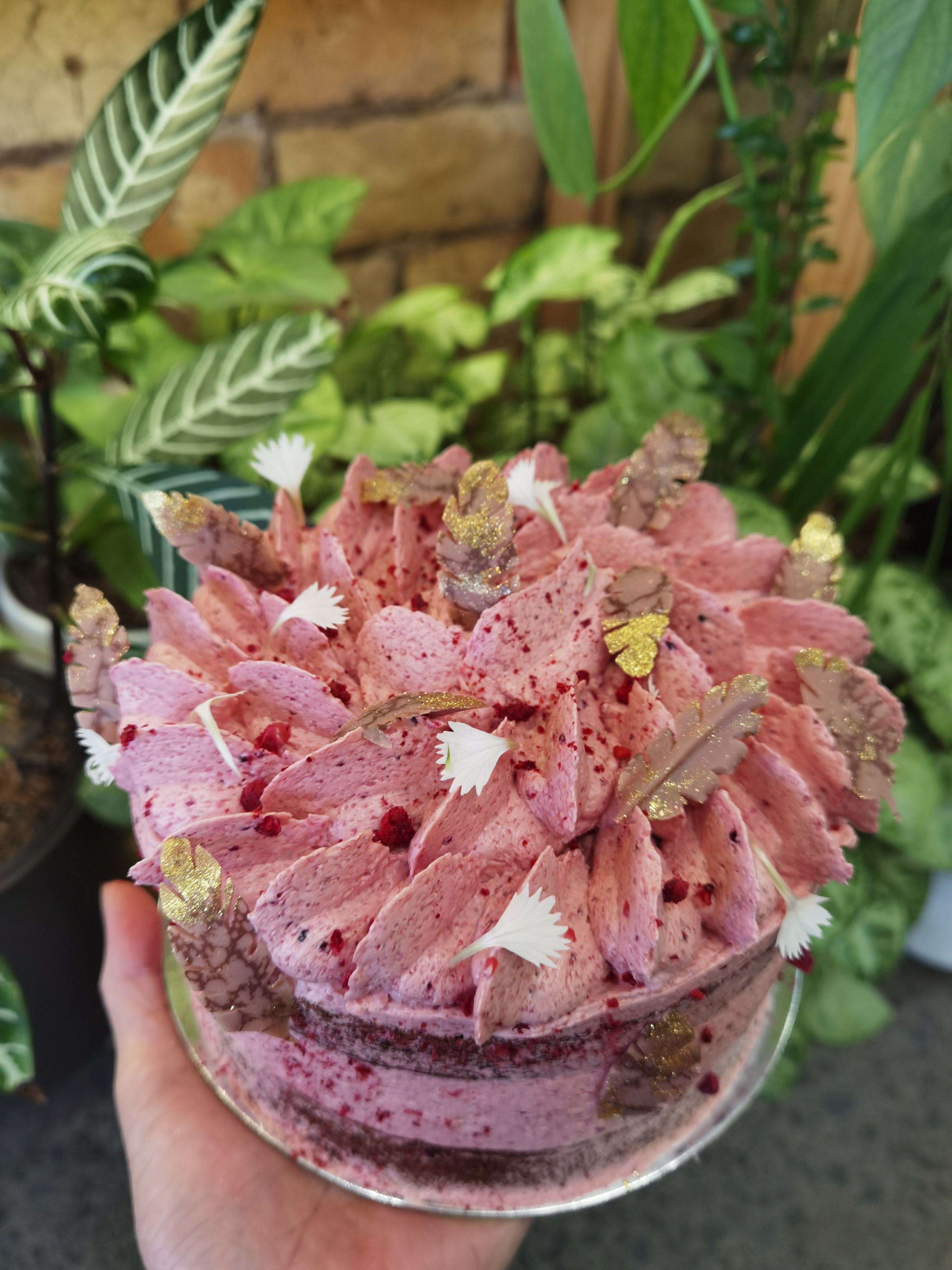 100% Plant Based Vegan Red Velvet Cake